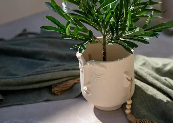 Selected Chania (Crete)